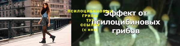 прущие крисы Абинск