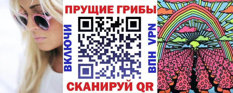 купить наркотики цена  Анадырь  OMG tor  Галлюциногенные грибы MAGIC MUSHROOMS 